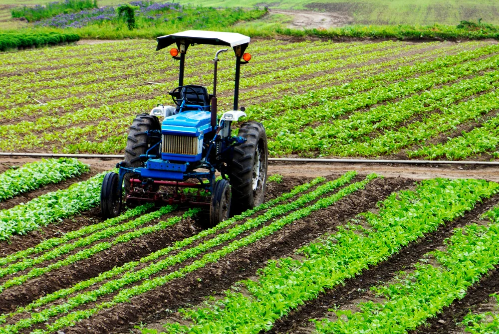 Agricultural Cultivators